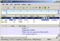 ReGet Pro Screenshot